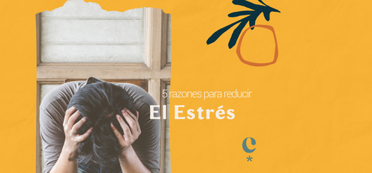 5 razones para disminuir el estrés