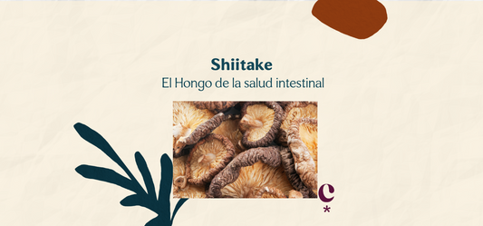 Los Beneficios del Adaptógeno y Hongo Medicinal Shiitake
