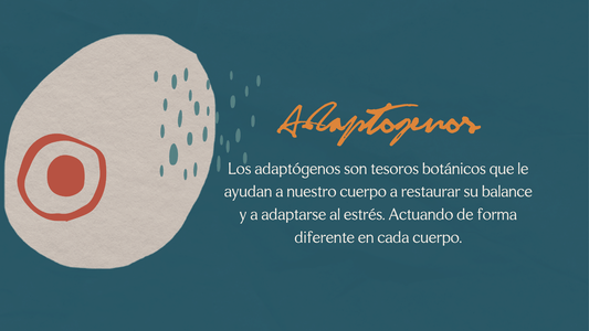 Tesoros botánicos que existen desde tiempo atrás