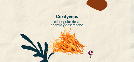 Beneficios del Cordyceps Militaris: Tu Camino hacia el Bienestar Total