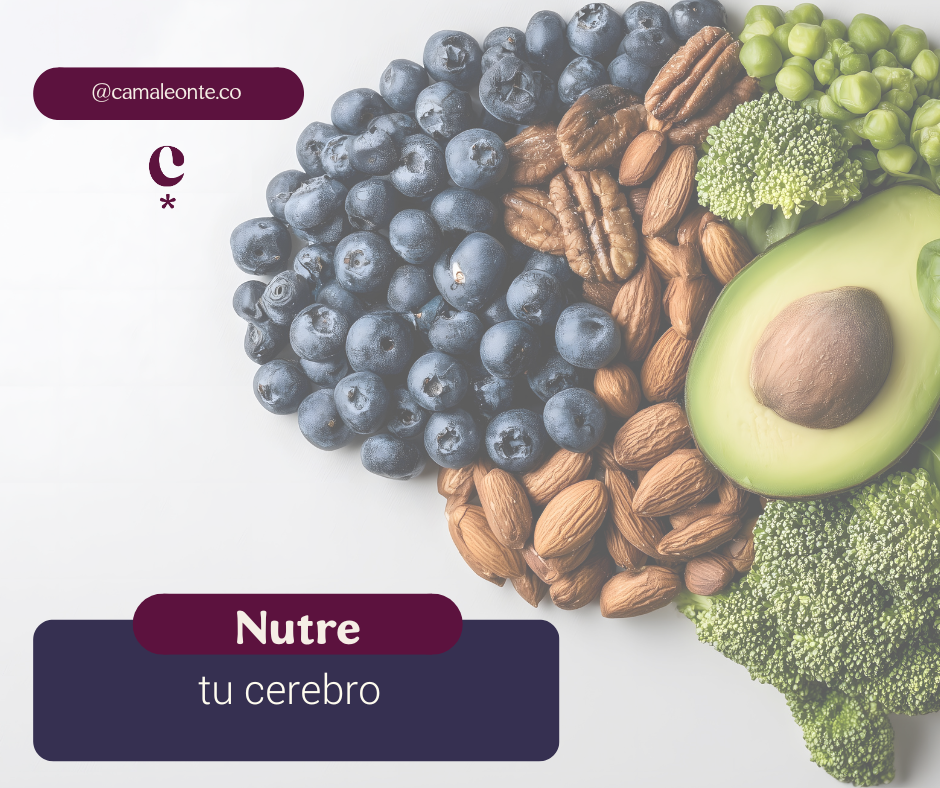 Nutre tu cerebro para sentirte mejor 🧠
