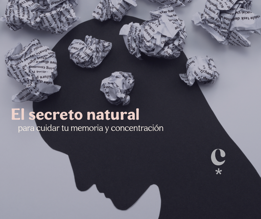 El secreto natural para cuidar tu memoria y concentración en cualquier edad
