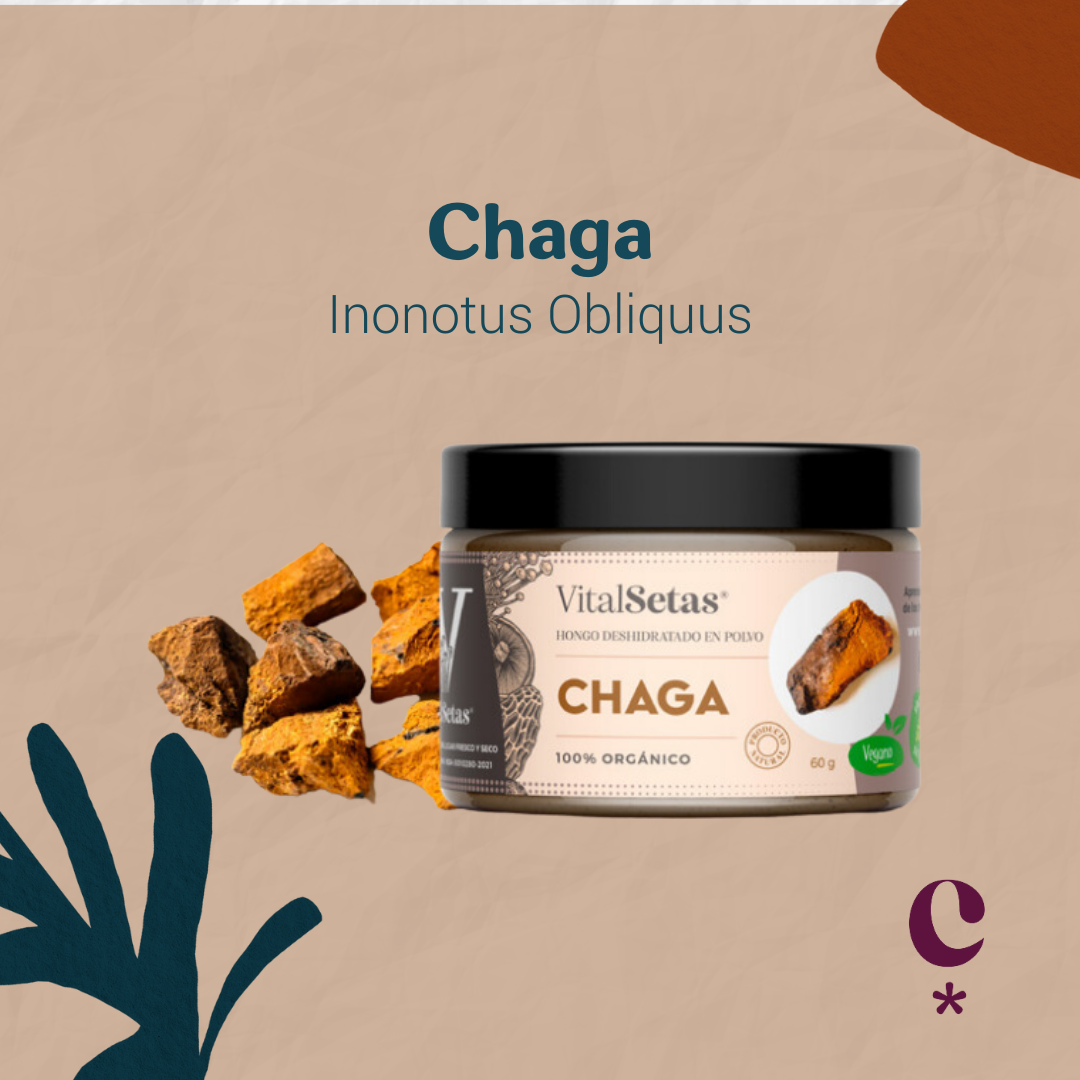 Chaga