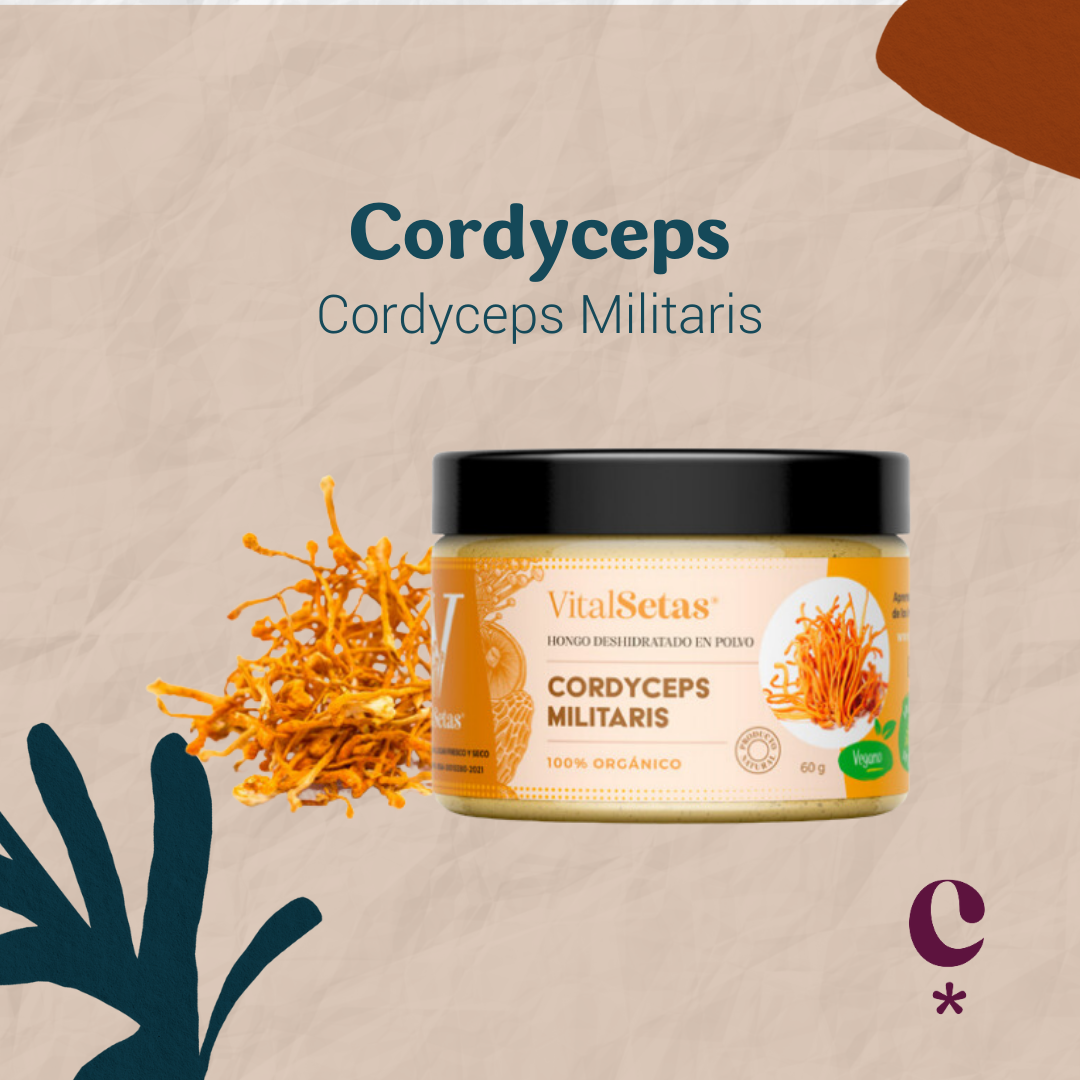 Cordyceps