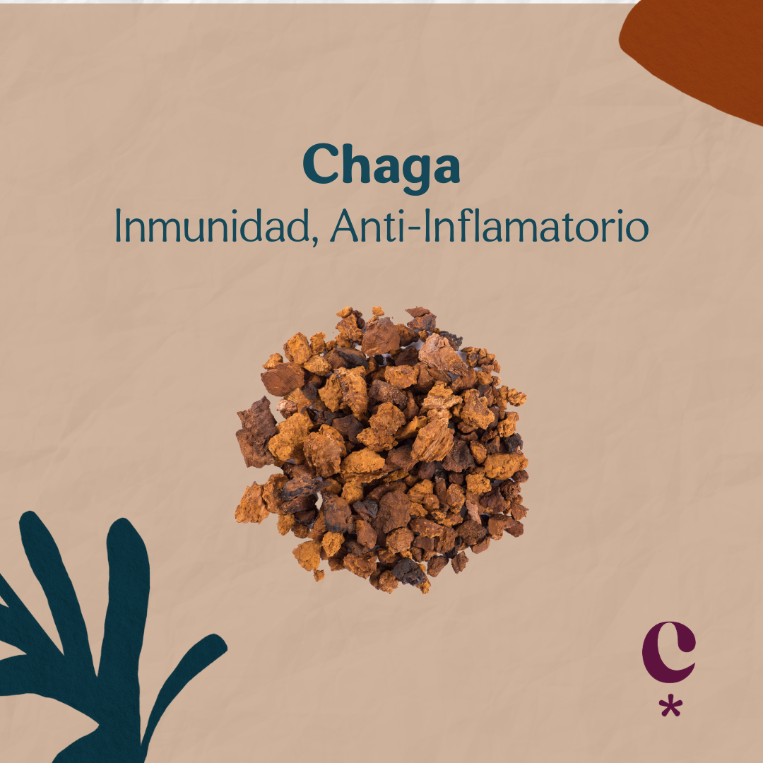 Chaga