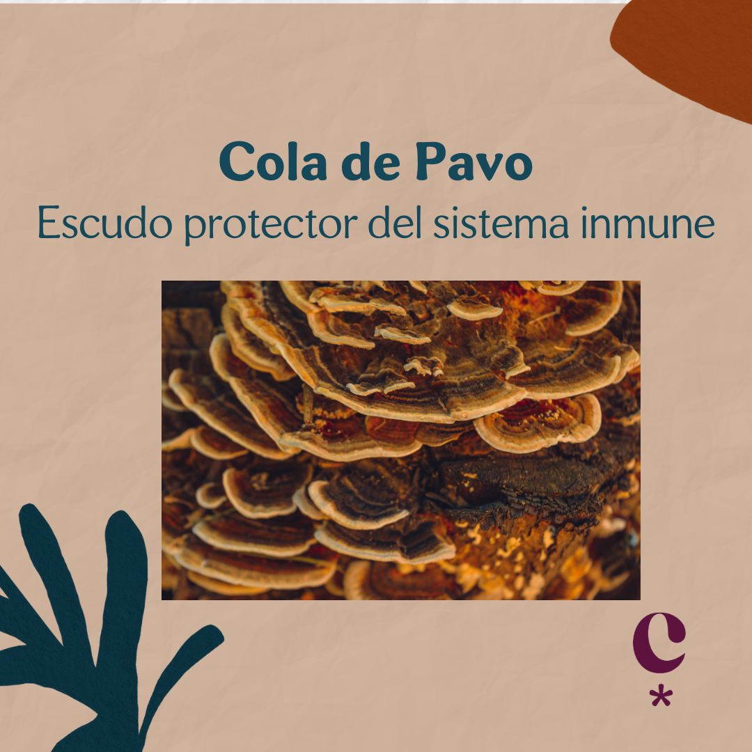 Cola de Pavo