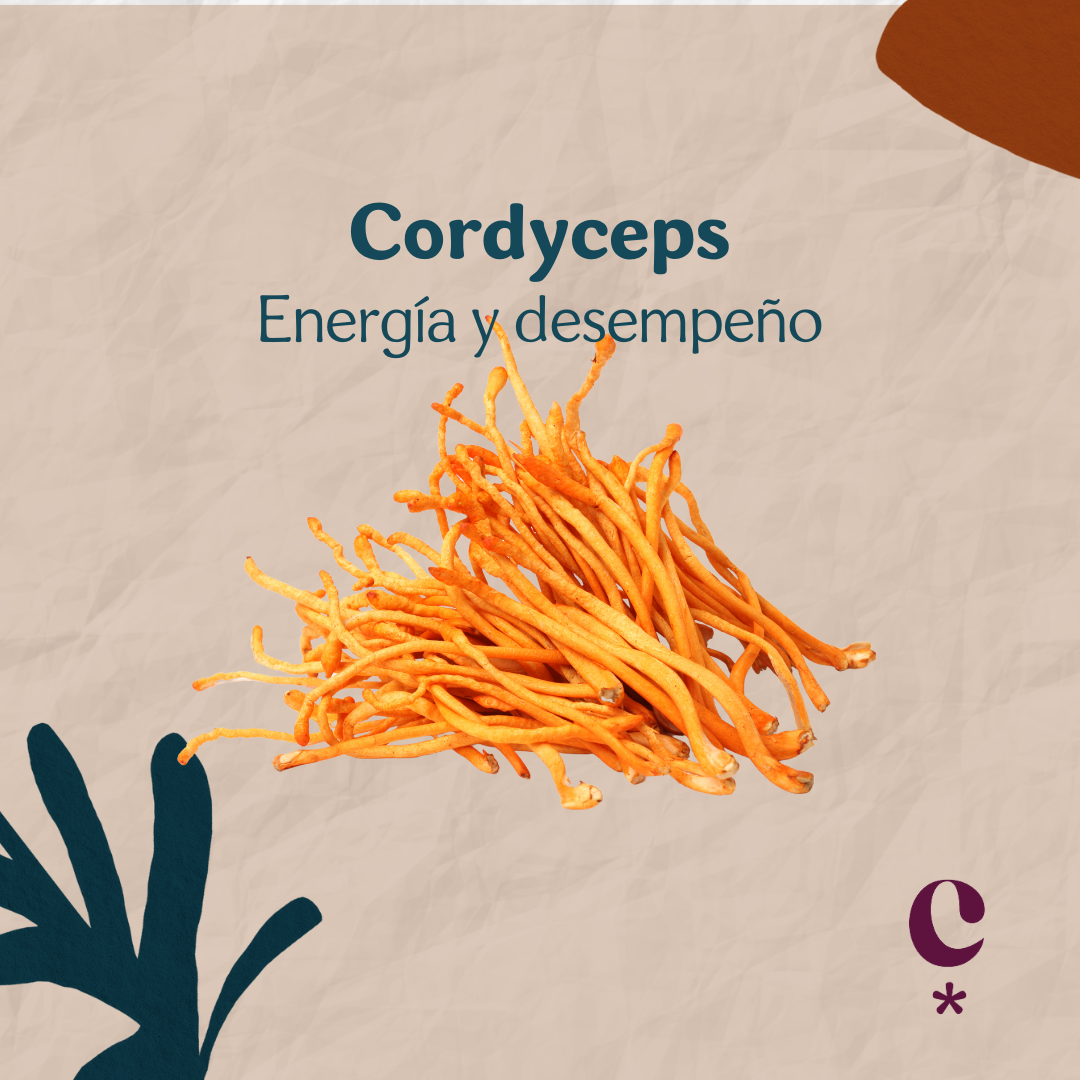 Cordyceps