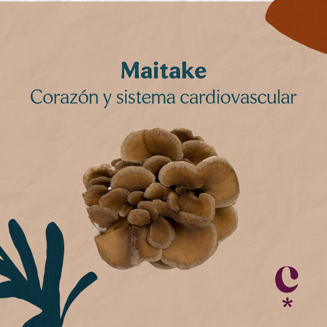 Maitake