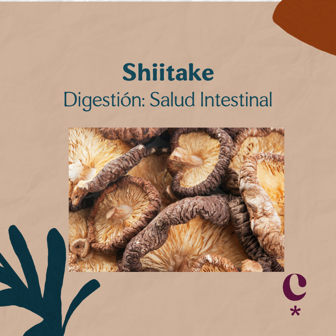 Shiitake