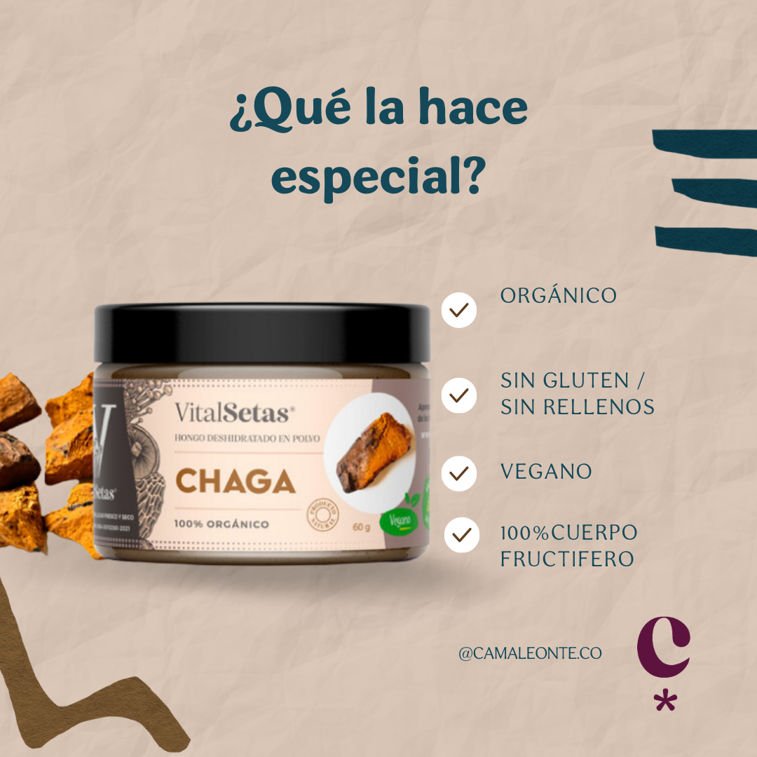Chaga