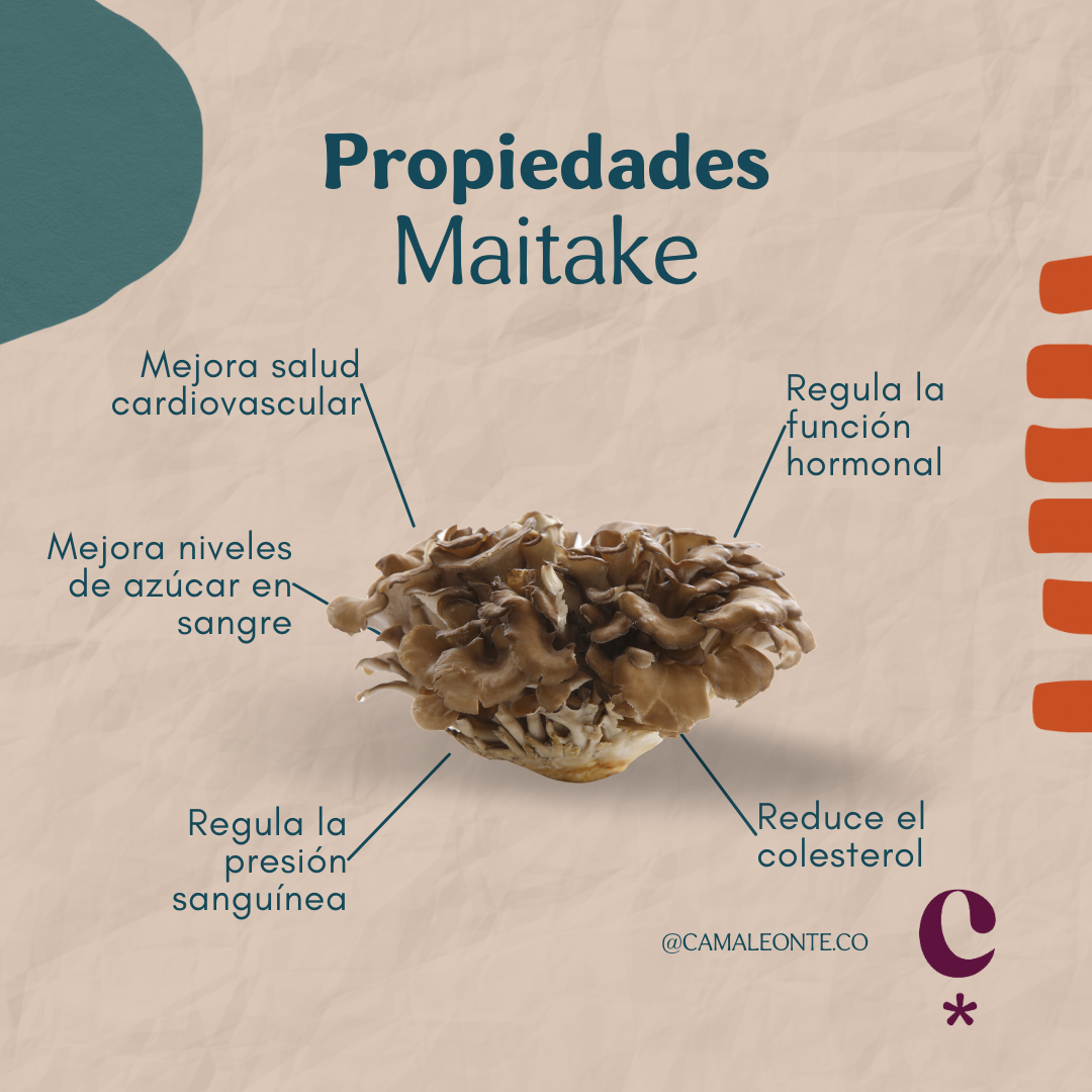 Maitake