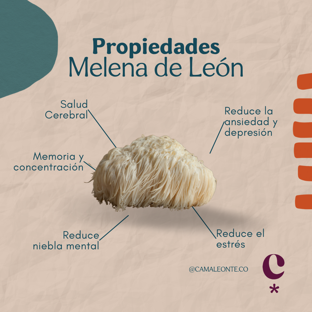 Melena de León