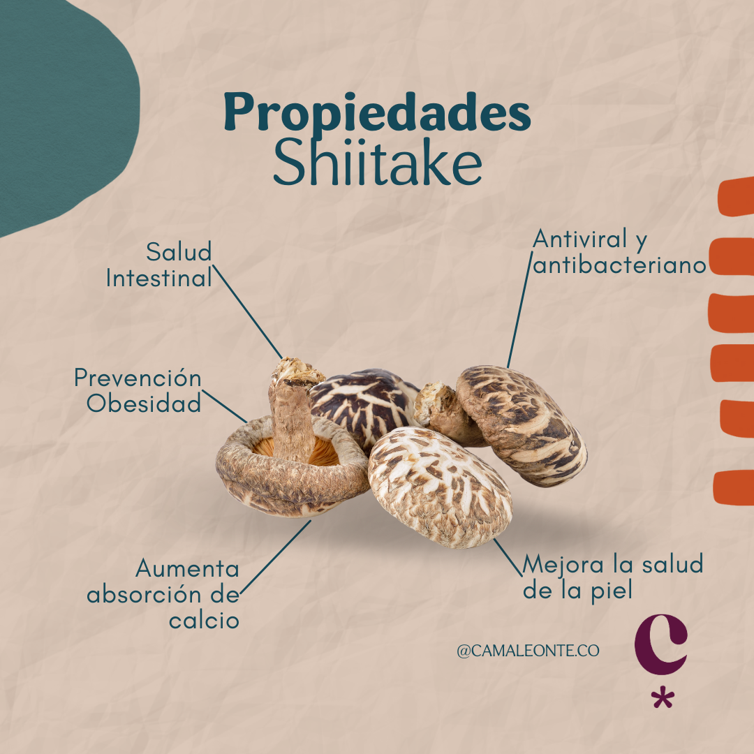 Shiitake