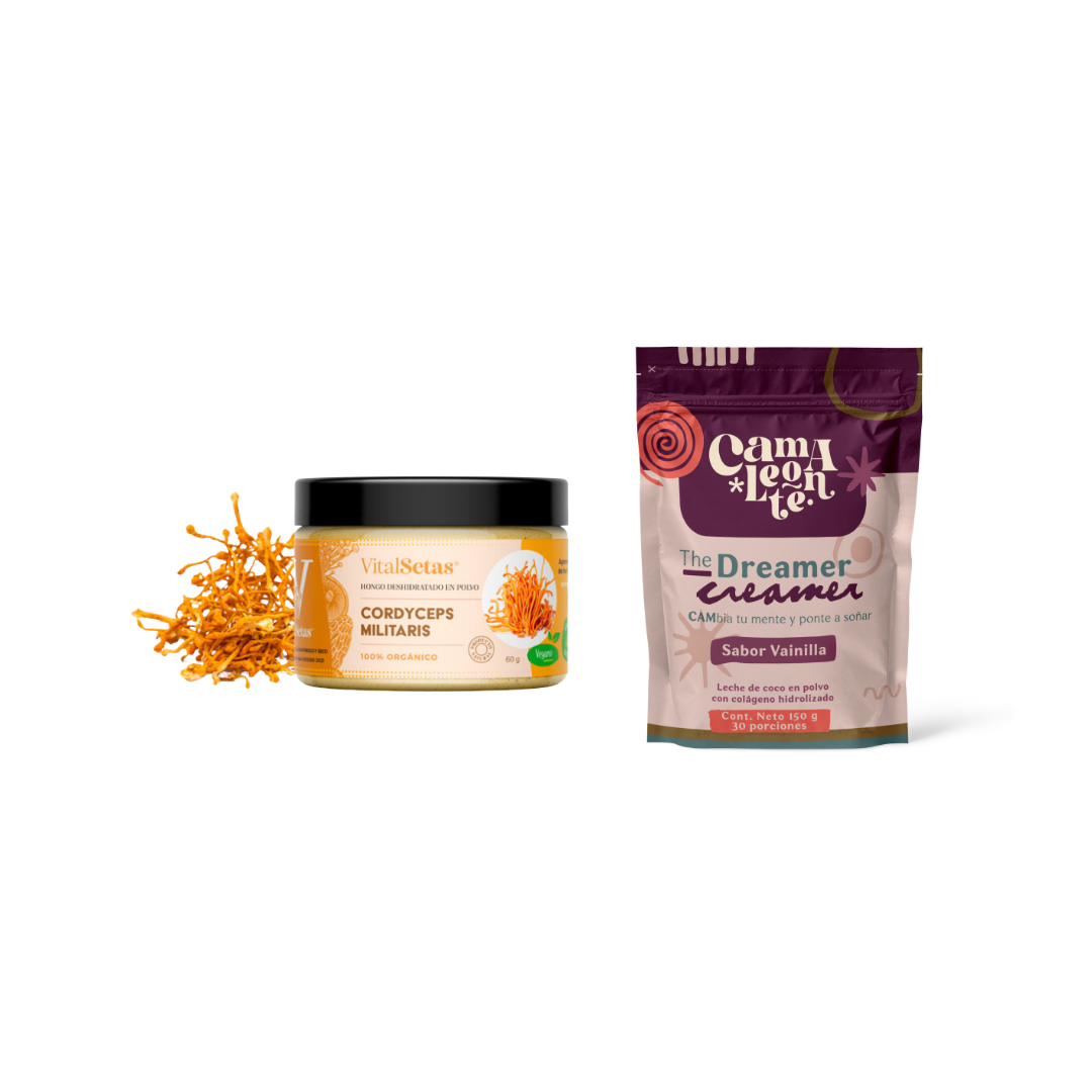 Pack DreamerCreamer + Hongos Medicinales