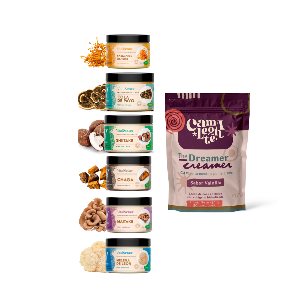 Pack DreamerCreamer + Hongos Medicinales