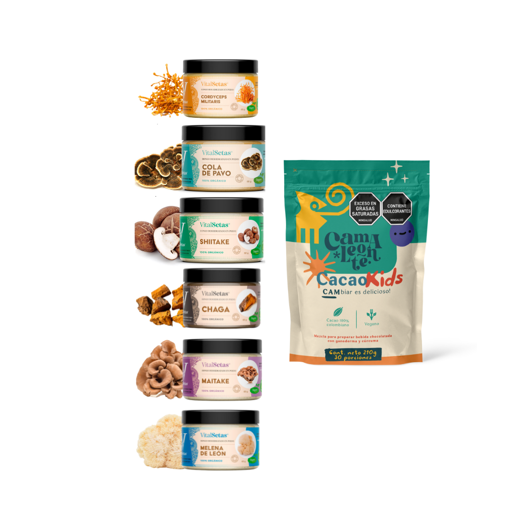 Pack Cacao Kids + Hongos Medicinales