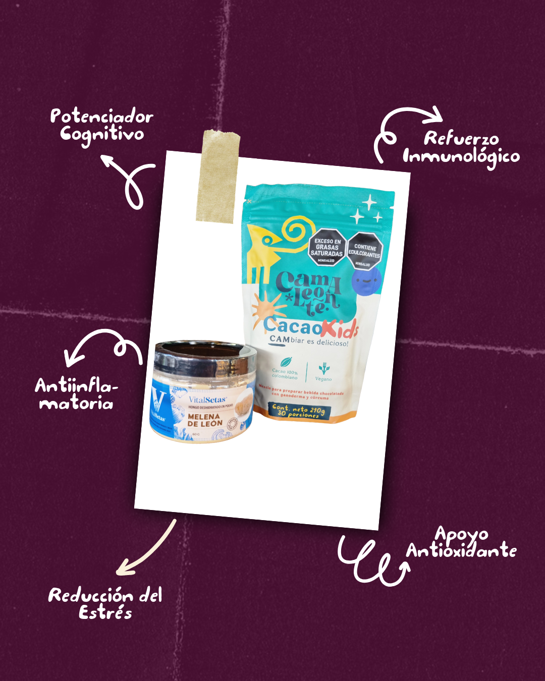 Combo CacaoKids + Melena de León
