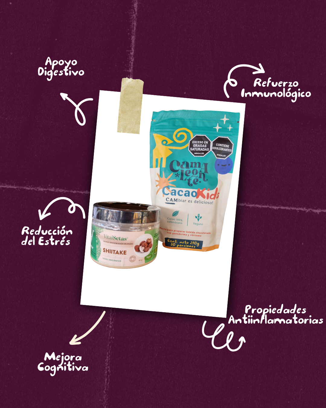 Combo CacaoKids + Shiitake