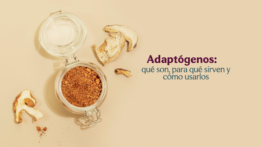 Adaptógenos: qué son, para qué sirven y cómo usarlos