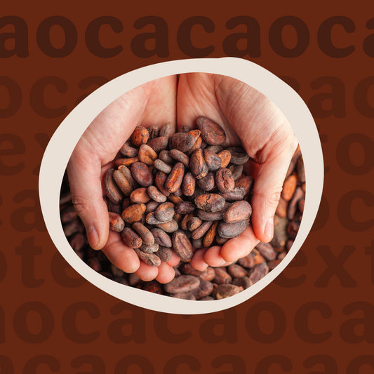 El Cacao y su historia