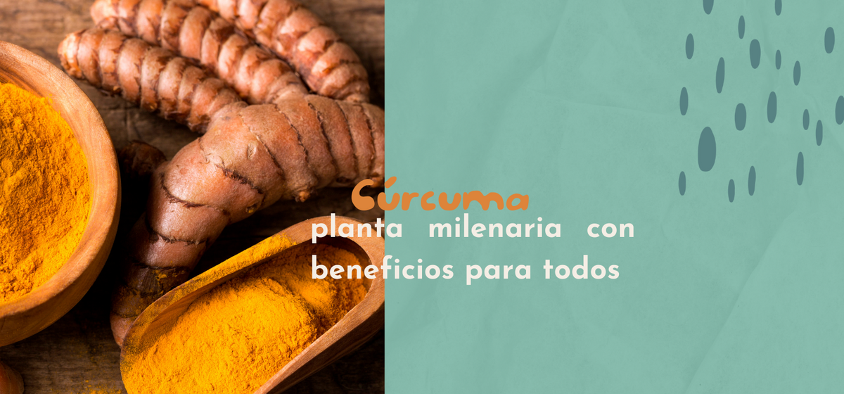 Los beneficios de la cúrcuma: una especia saludable y natural