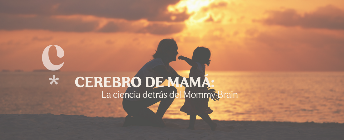 CEREBRO DE MAMÁ: La ciencia detrás del Mommy Brain
