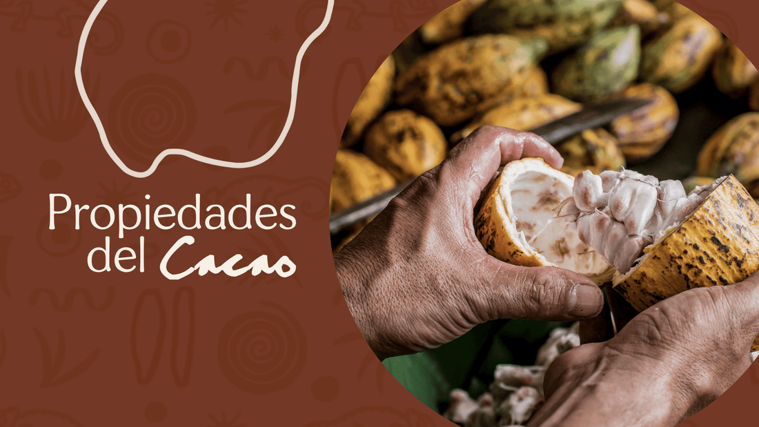 Propiedades del Cacao