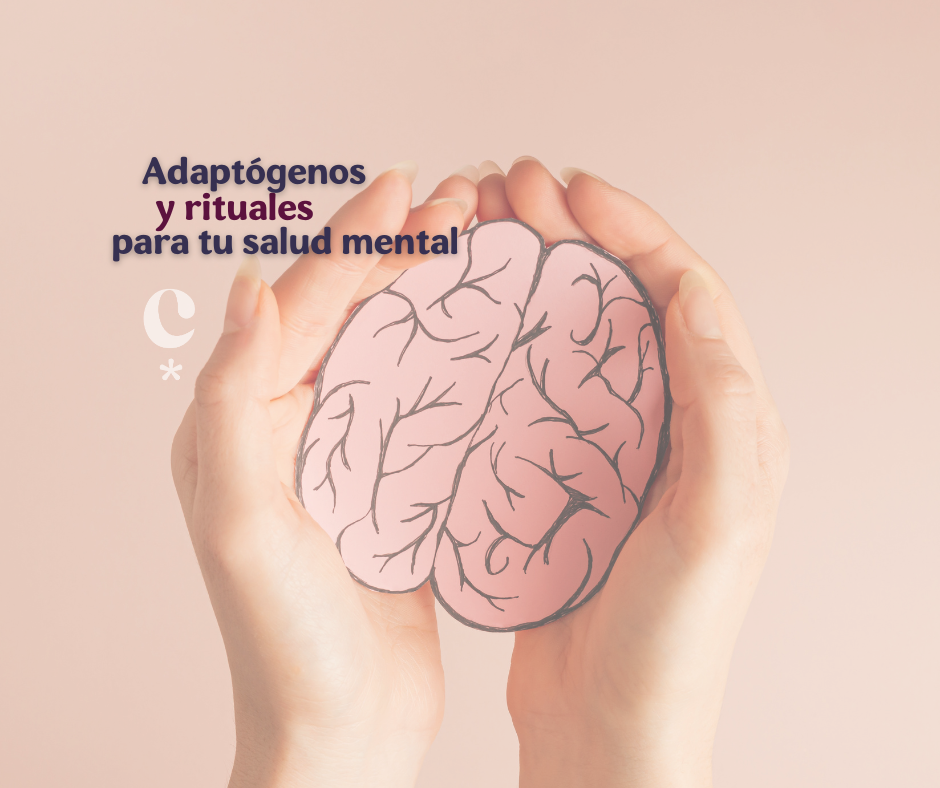 Adaptógenos y rituales fáciles para tu salud mental