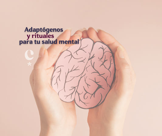 Adaptógenos y rituales fáciles para tu salud mental