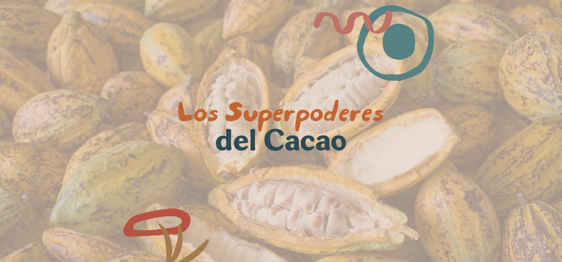 El Cacao y sus Superpoderes