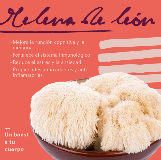 Dreamer Creamer con Melena de León (Copia)